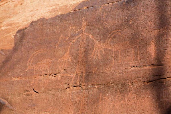 Ancestral Puebloan Petroglyphs