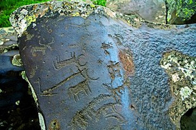 Ancient Armenian Petroglyphs Of Animals