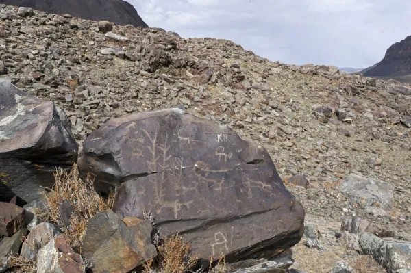 Ancient Armenian Petroglyphs Of Animals