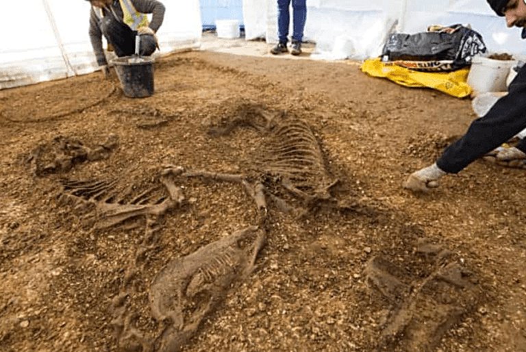 Ancient Celtic Chariot Burials