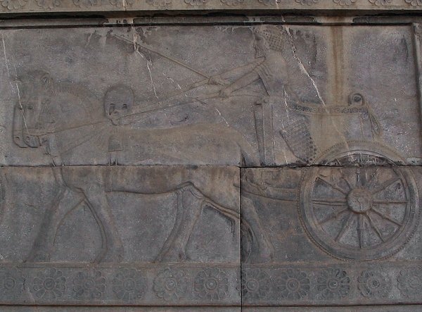 Ancient Chariot Relief At Persepolis