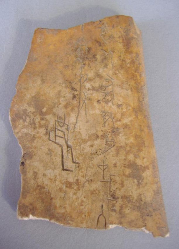 Ancient Chinese Oracle Turtle Plastrons