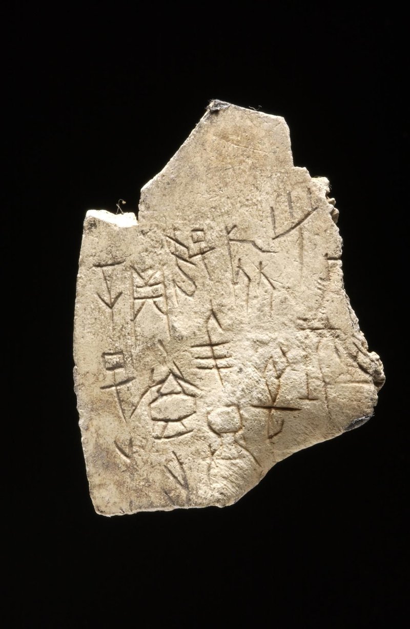 Ancient Chinese Oracle Turtle Plastrons
