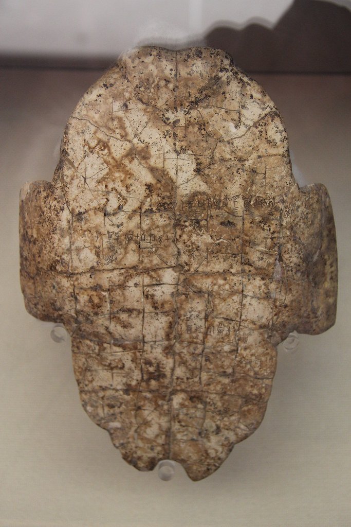 Ancient Chinese Oracle Turtle Plastrons