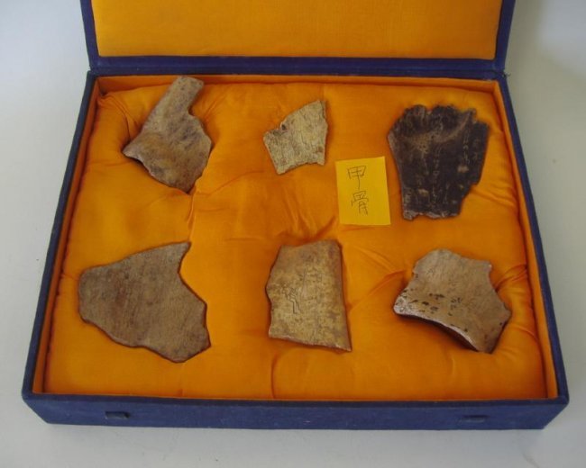 Ancient Chinese Oracle Turtle Plastrons