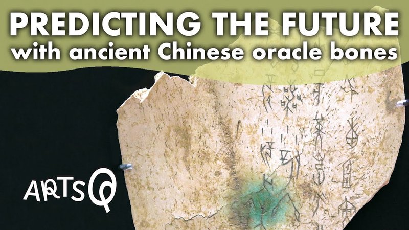 Ancient Chinese Oracle Turtle Plastrons