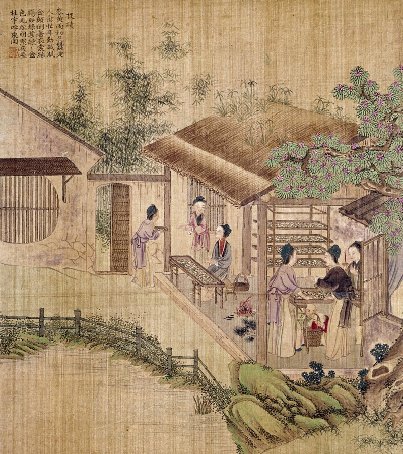 Ancient Chinese Silk Trade Beginnings