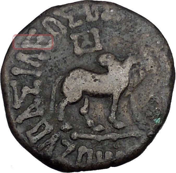 Ancient Coins From Bactria