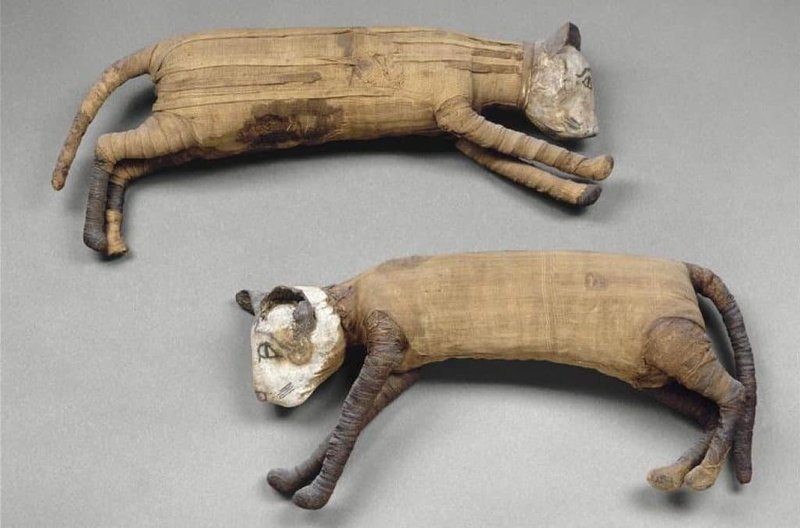 Ancient Egyptian Animal Mummies<span class=