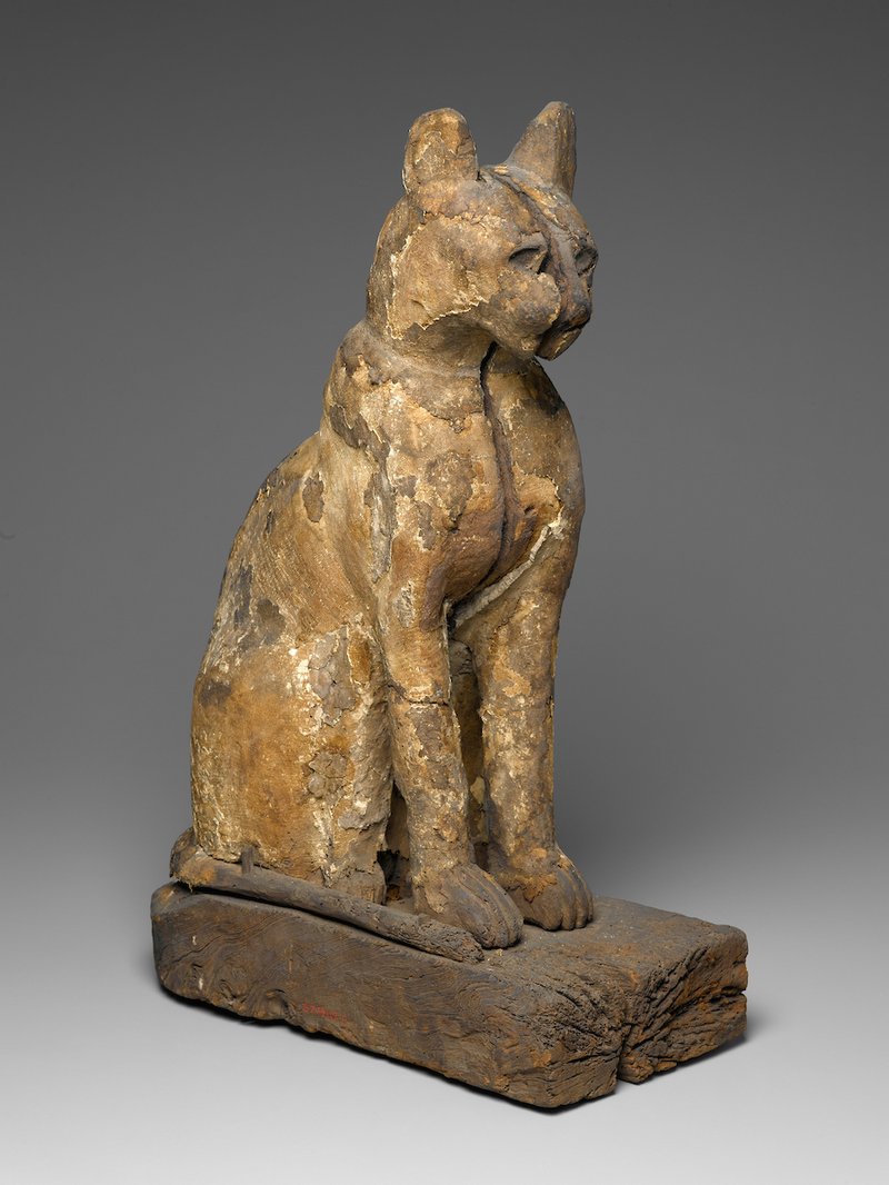 Ancient Egyptian Animal Mummies