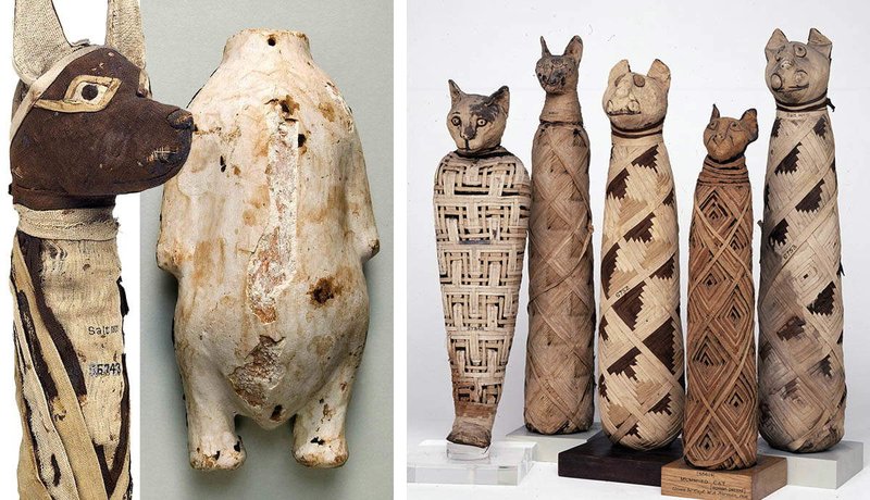 Ancient Egyptian Animal Mummies