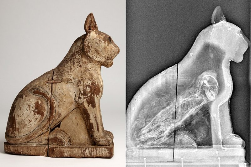 Ancient Egyptian Animal Mummies