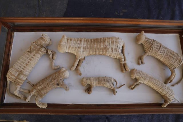 Ancient Egyptian Animal Mummies
