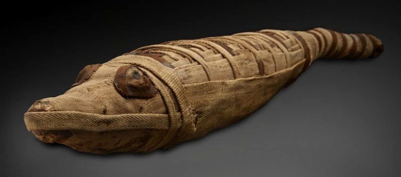 Ancient Egyptian Animal Mummies