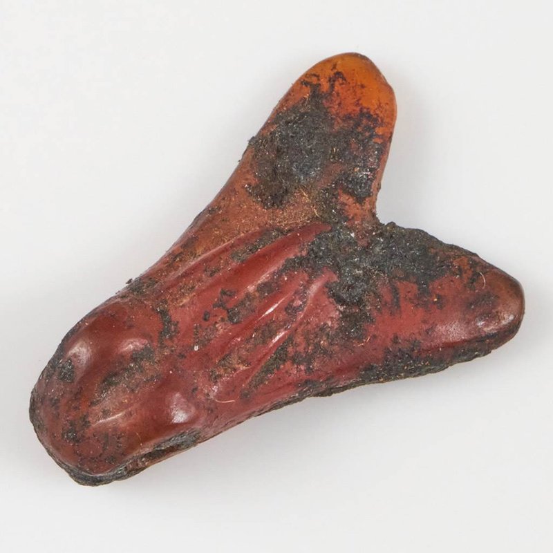 Ancient Egyptian Fly Amulet For Bravery