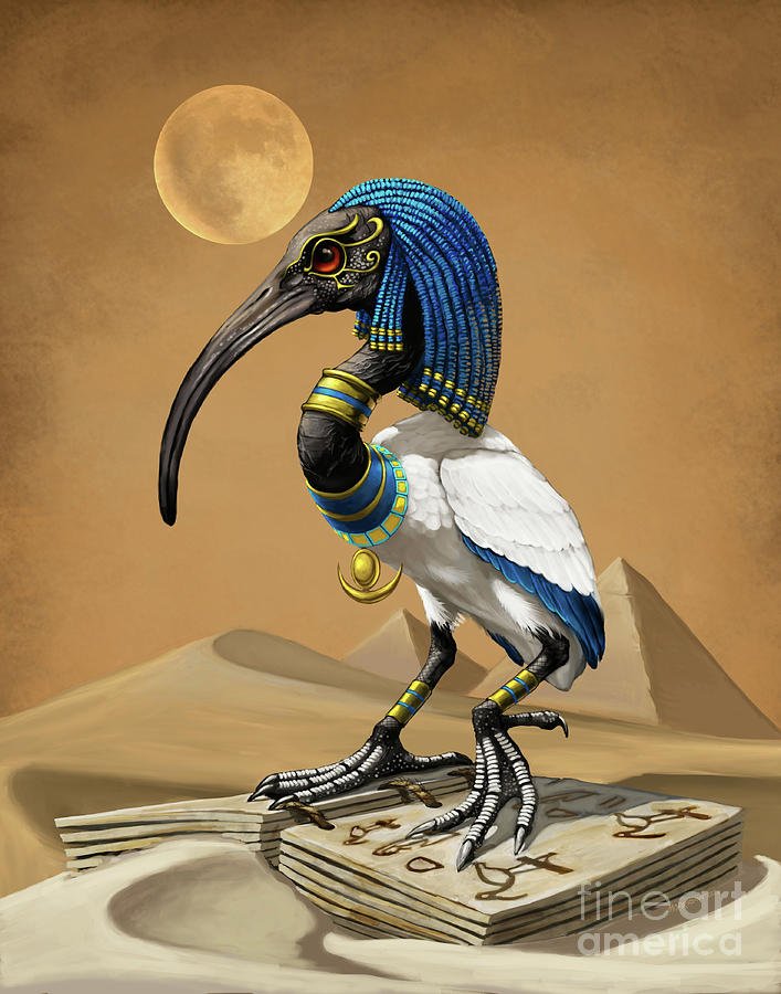 Ancient Egyptian God Thoth Depictions