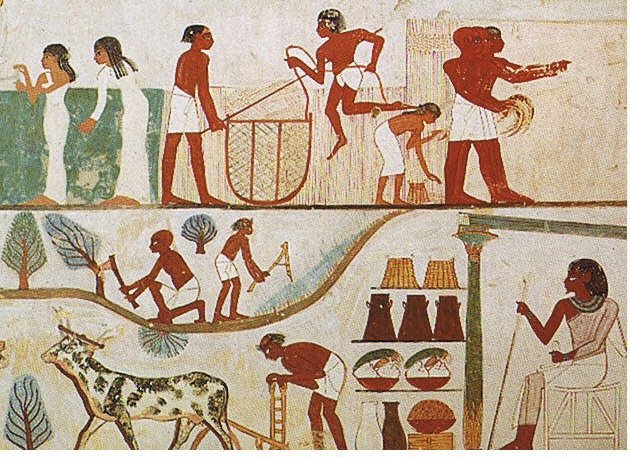 Ancient Egyptian Harvest Scenes In Tombs