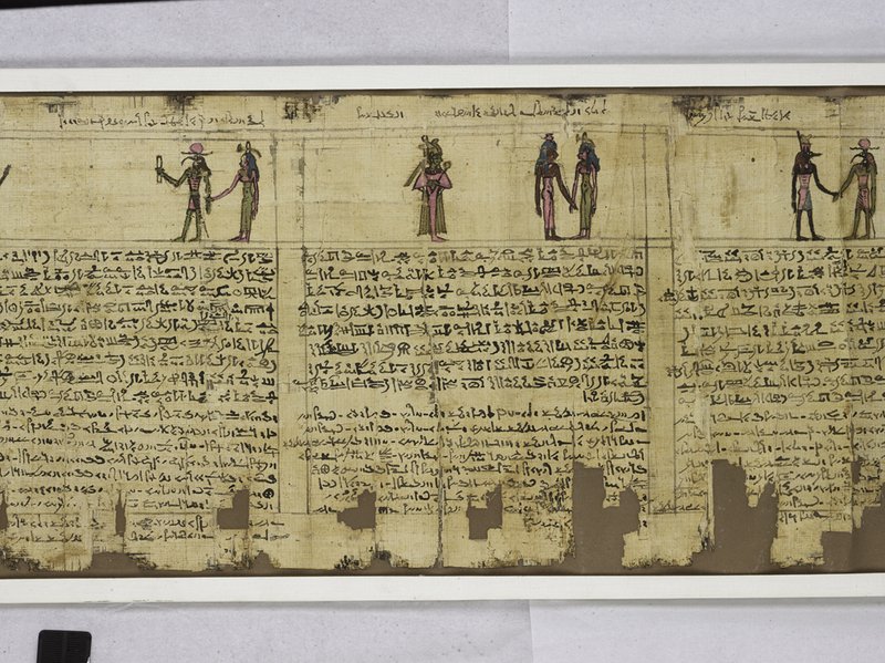 Ancient Egyptian Papyrus Rolls In Museum