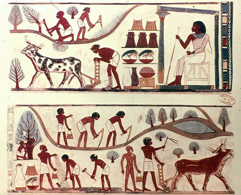 Ancient Egyptian Wall Painting Of Farming Scenes<span class=