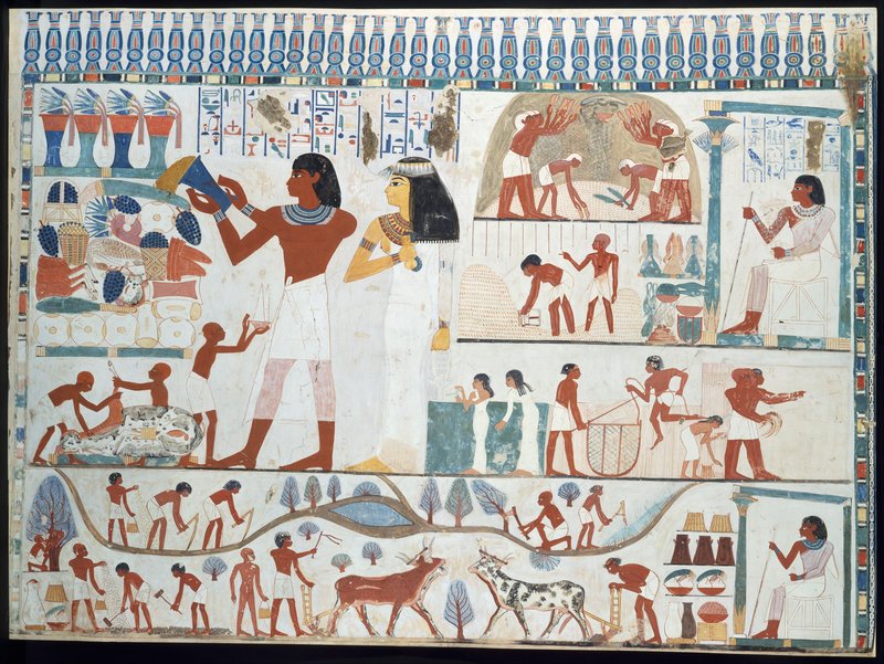 Ancient Egyptian Wall Painting Of Farming Scenes