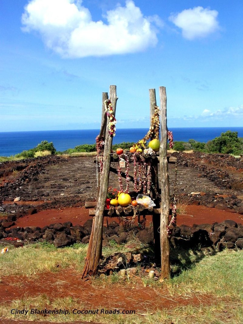Ancient Hawaiian Heiau Temple Ruins