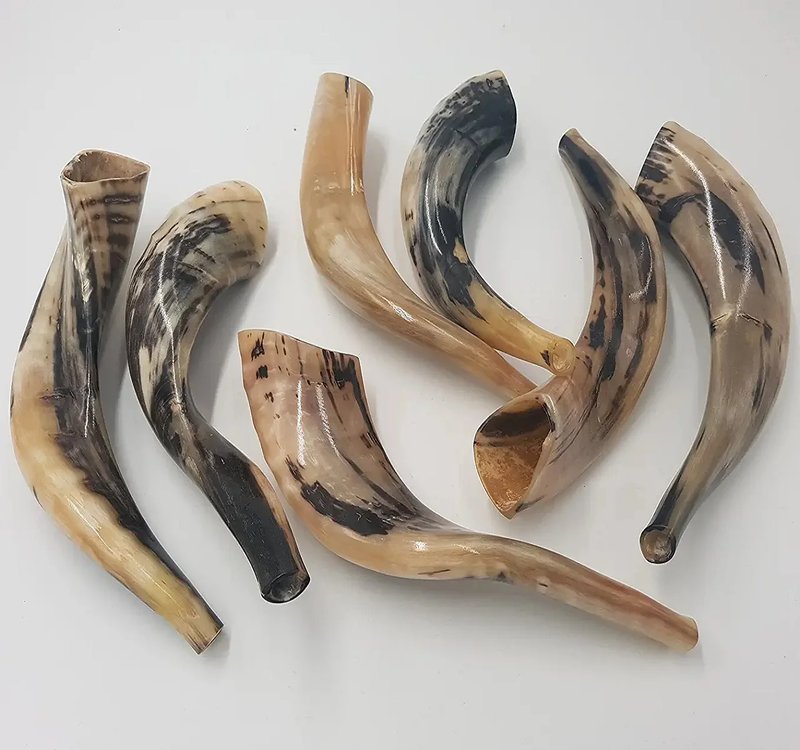 Ancient Hebrew Shofar Ram Horn