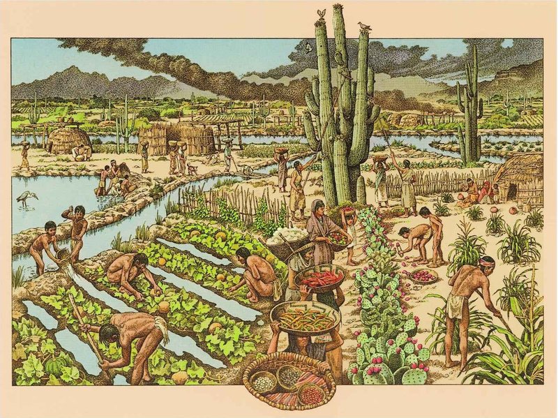 Ancient Hohokam Irrigation Canals