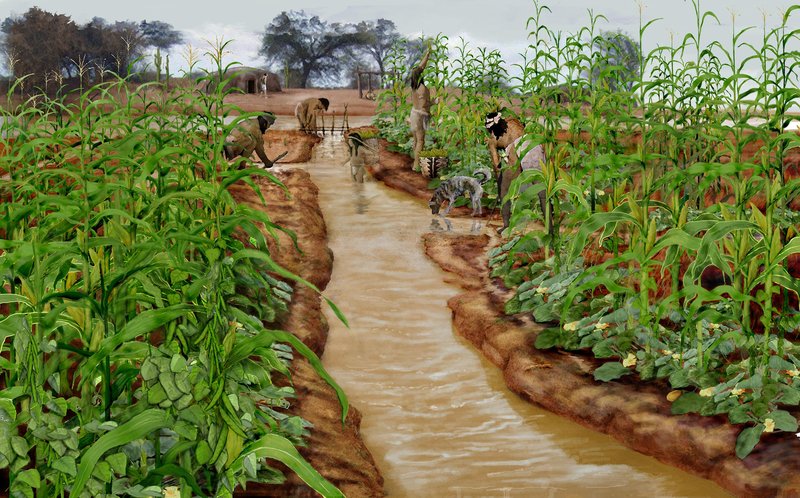 Ancient Hohokam Irrigation Canals