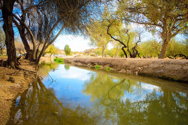 Ancient Hohokam Irrigation Canals