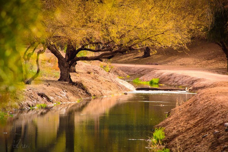Ancient Hohokam Irrigation Canals<span class=