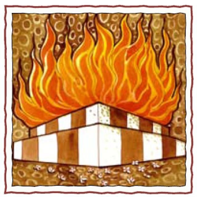Ancient Indian Vedic Fire Altars