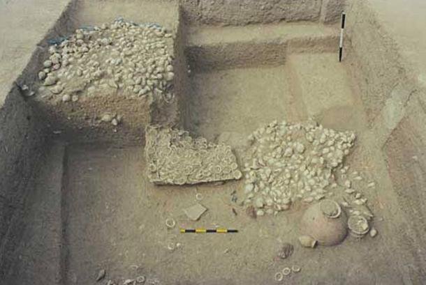 Ancient Indus Valley Shell Inlays