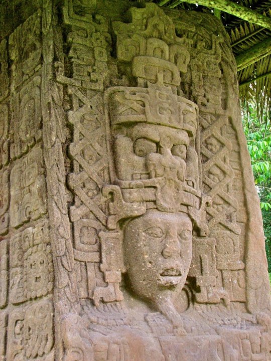 Ancient Maya Stelae At Quiriguá