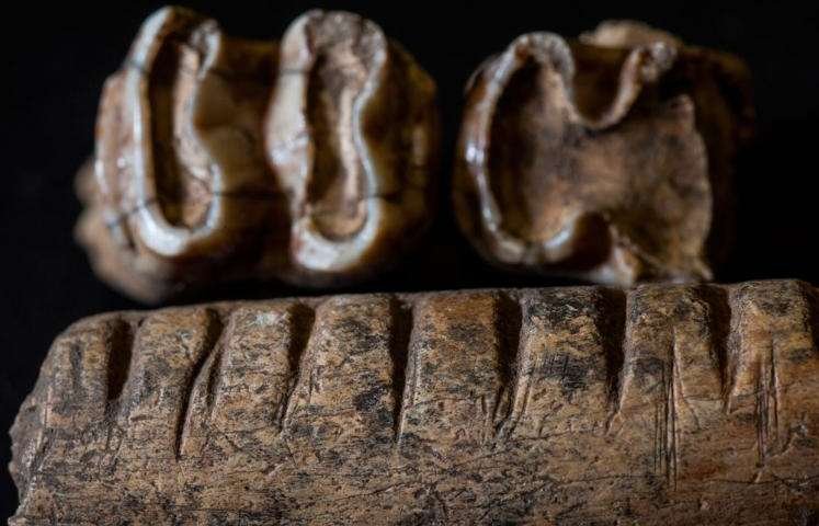 Ancient Mayan Carved Bone Tools