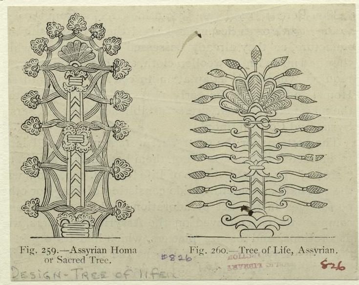 Ancient Mesopotamian Tree Of Life Motifs