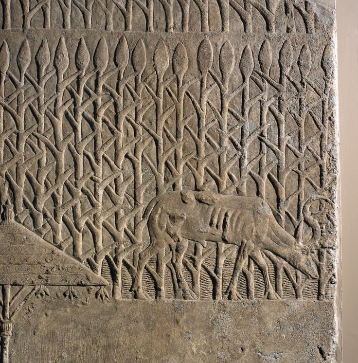 Ancient Mesopotamian Wall Relief Carvings