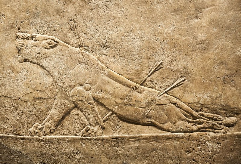 Ancient Mesopotamian Wall Relief Carvings