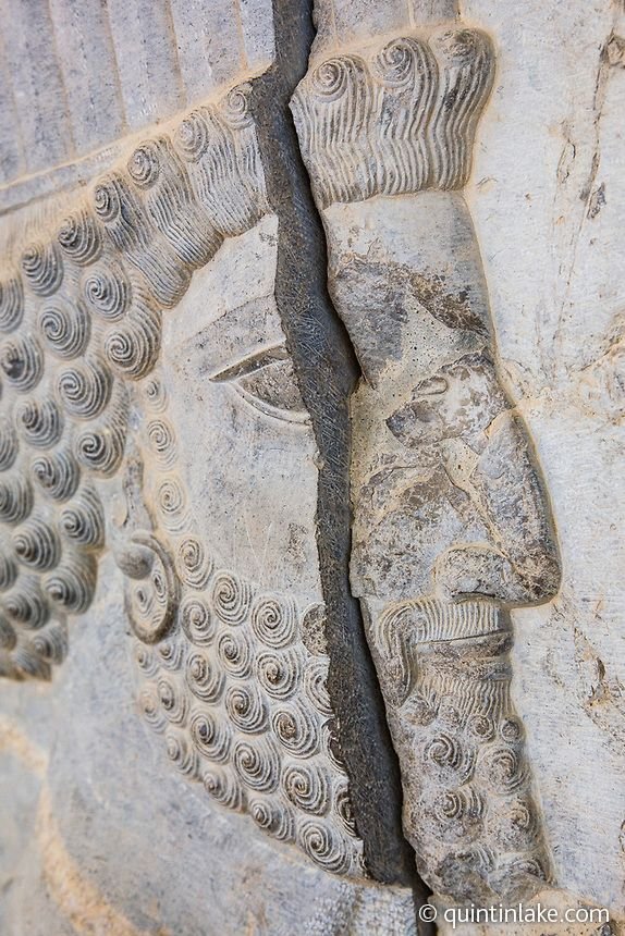 Ancient Persian Bas-Reliefs At Persepolis