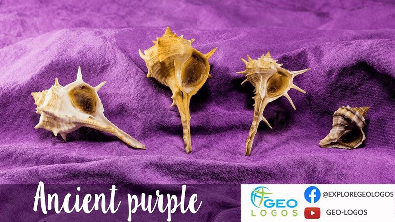 Ancient Phoenician Shell Purple Dye Vats