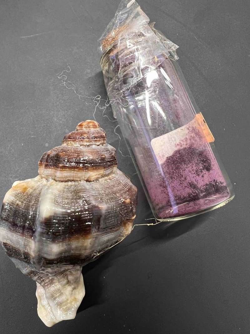 Ancient Phoenician Shell Purple Dye Vats
