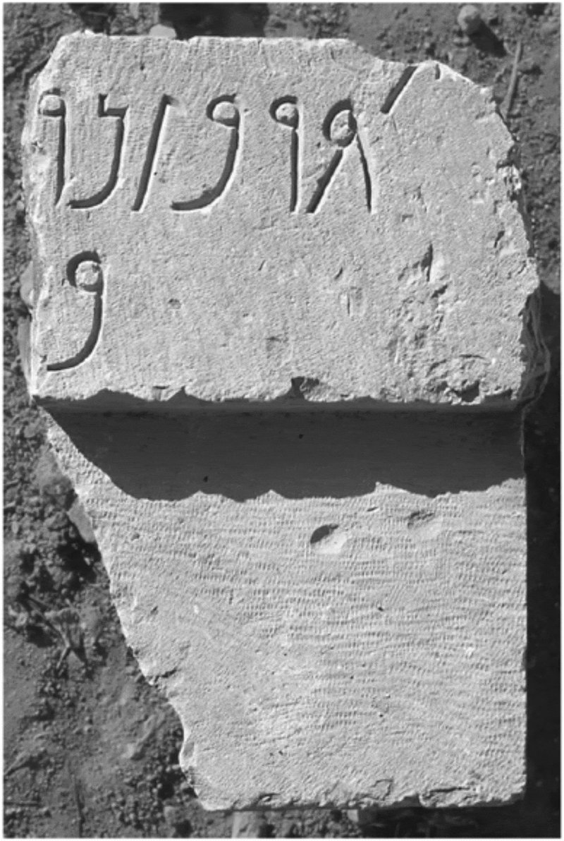 Ancient Punic Tomb Inscriptions