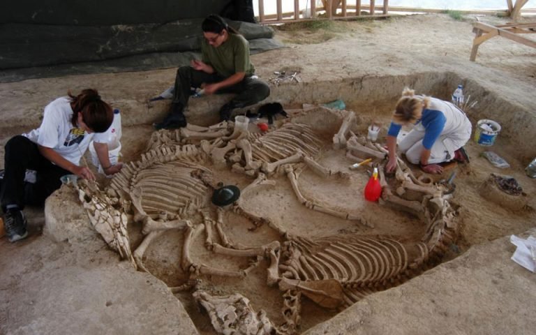 Ancient Thracian Chariot Burial Site