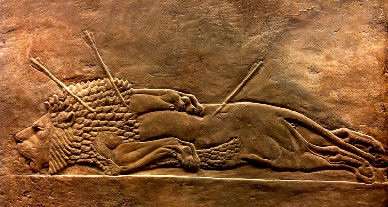 Assyrian Lion Hunt Reliefs