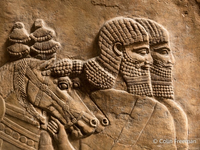 Assyrian Palace Wall Carvings<span class=
