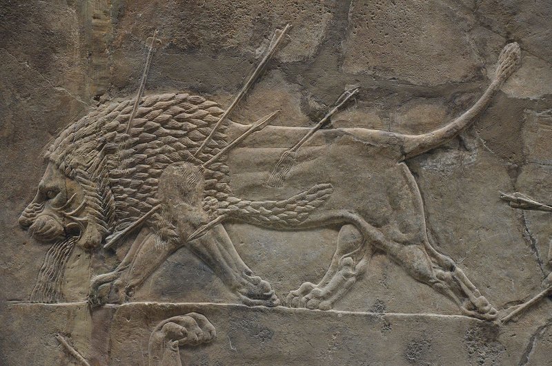 Assyrian Relief Of King Hunting Lions