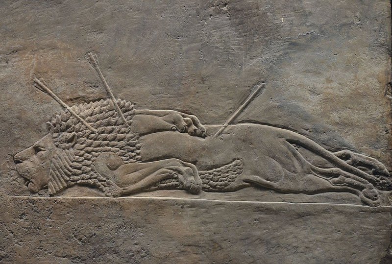 Assyrian Relief Of King Hunting Lions