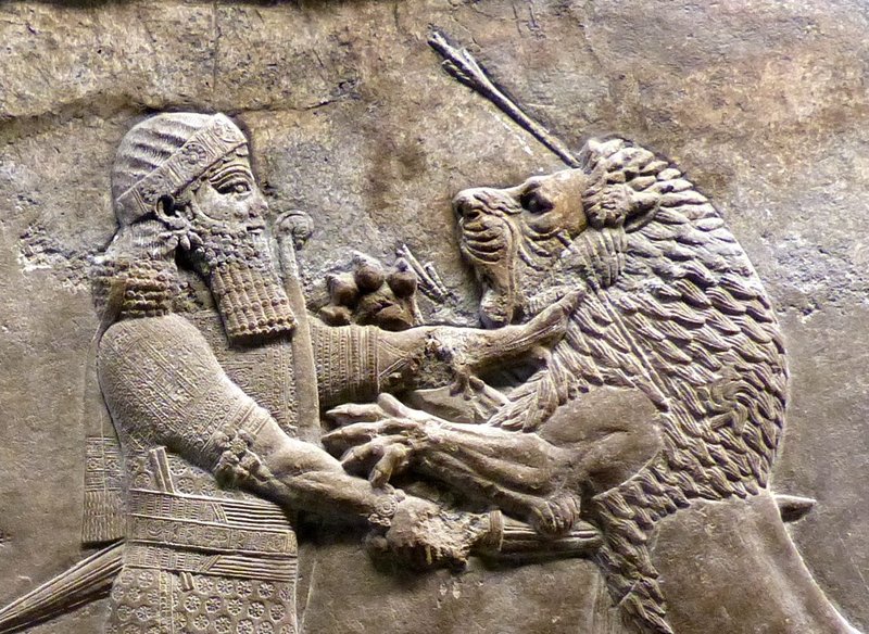 Assyrian Relief Of King Hunting Lions