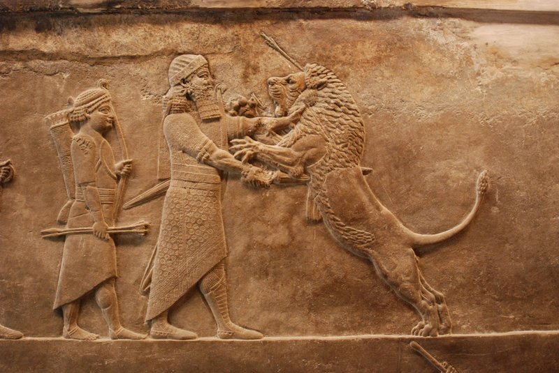 Assyrian Relief Of King Hunting Lions