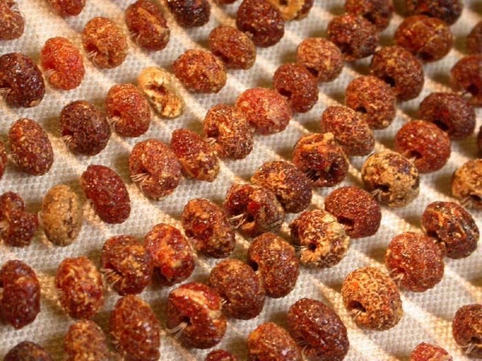 Bronze Age Amber Bead Necklaces