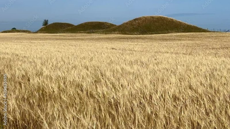 Bronze Age Burial Mound In Europe